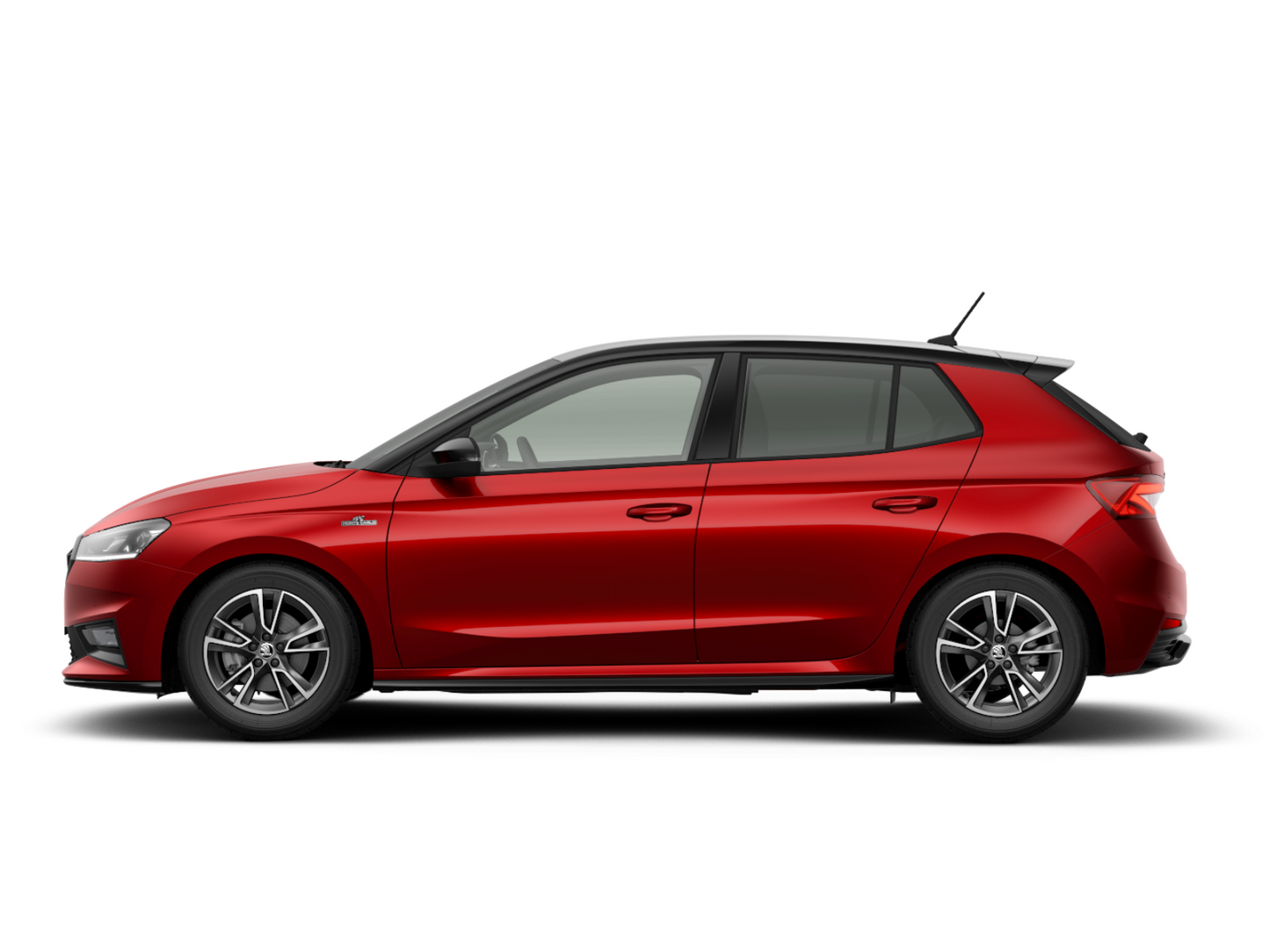 fabia-montecarlo-2