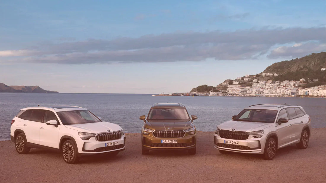 operativní leasing vs koupě auta, případová studie