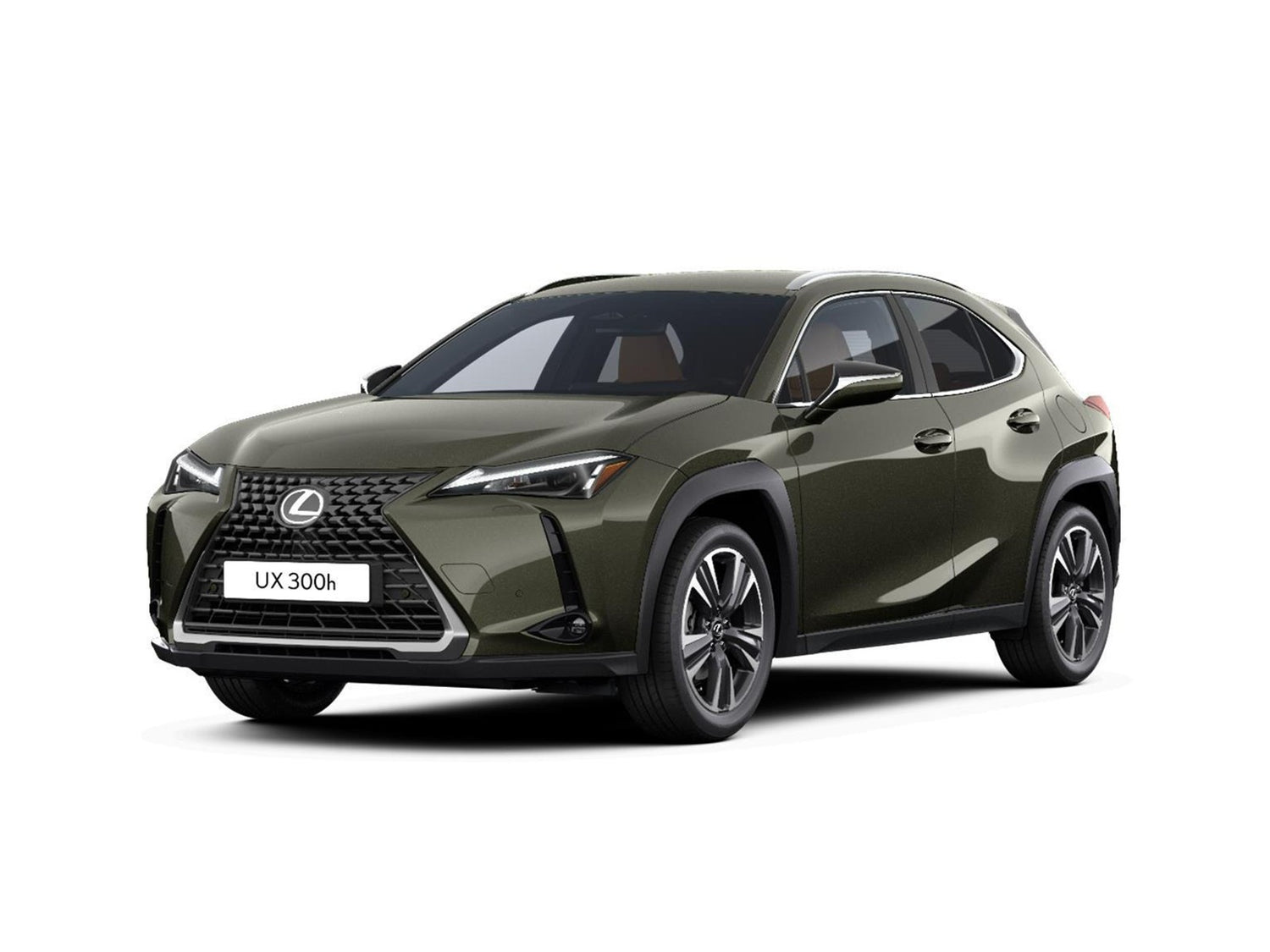 Fotografie automobilu Lexus UX 300h Business Tech k pronájmu