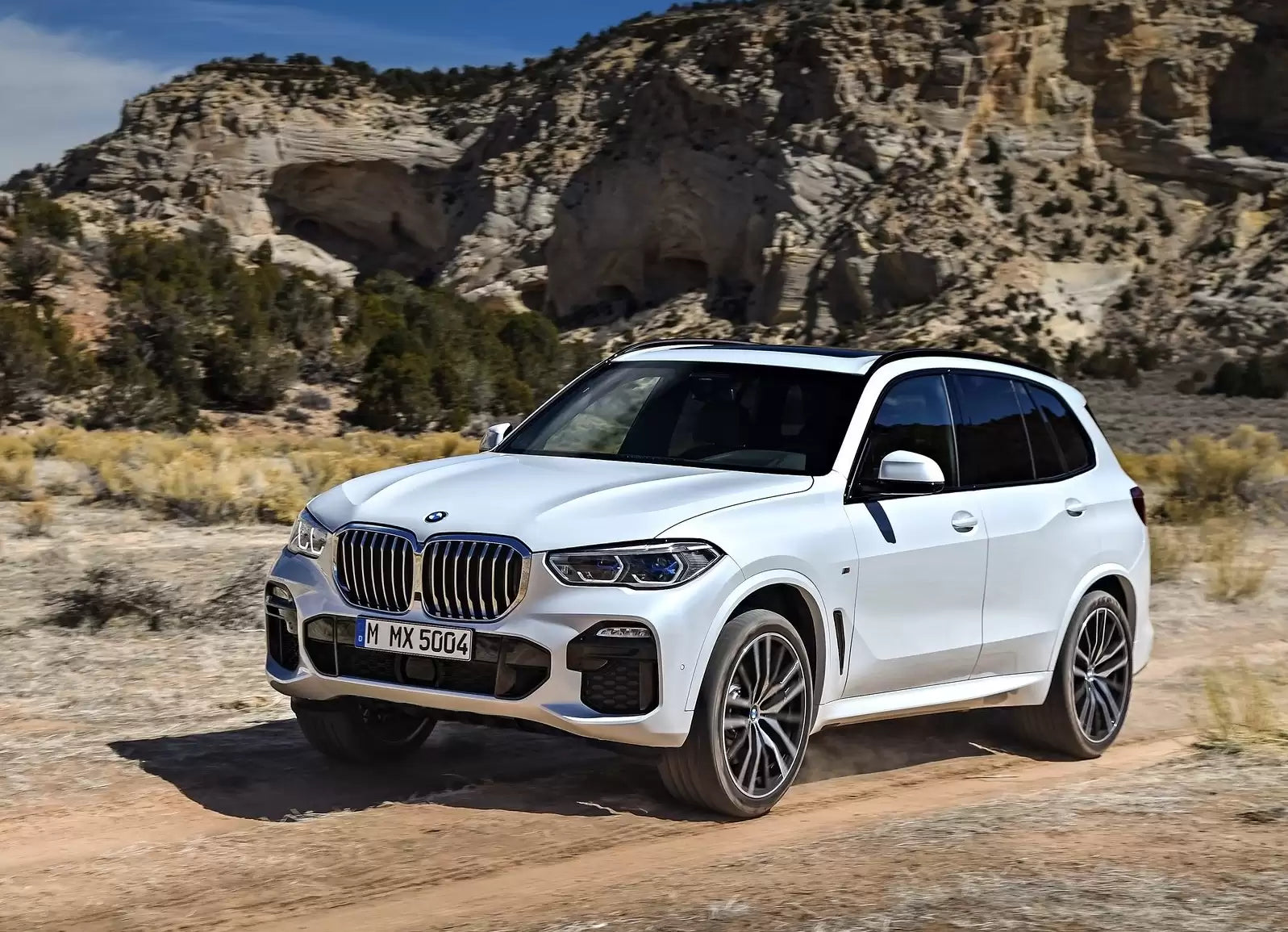 Fotografie vozu BMW X5 xDrive40i 40i 245 kW MHEV xDrive Steptronic výroba od 01/2019
