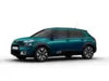 C4 Cactus